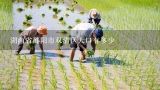 湖南省邵阳市双清区人口有多少,丰花月季的产地及养殖方法介绍