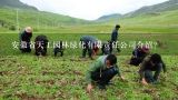 安徽省天工园林绿化有限责任公司介绍？琴溪镇的风景名胜