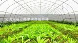 云南宣威市哪里卖苜蓿草种,湖南有不有栽培销售观赏草的苗木企业呢?如果有，在哪，且具体有些什么品种呢?