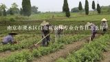 南京市溧水区白鹿苑农林专业合作社怎么样？