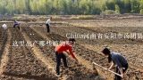 🇨🇳 China河南省安阳市汤阴县GPS坐标为°N °E
 这里出产哪些植物呢？