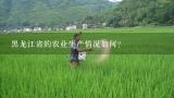 黑龙江省的农业生产情况如何？