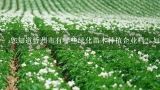 您知道忻州市有哪些绿化苗木种植企业吗？如果有的话它们在哪些地方可以找到呢？