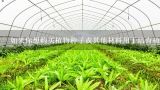 如果你想购买植物种子或其他材料用于培育植物你可以在哪里找到它们？