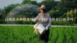 白城苗木种植基地位于中国吉林省白城市吗?