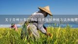 关于青州豆梨的栽培技术包括种植方法和施肥时间?