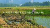 中国观赏牡丹苗木基地如何培育新品种?