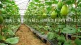 上海江南造园有限公司拥有怎样的管理理念对植栽管理有影响?