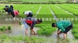 众所周知沭阳乐农苗木基地是中国最大的苗木繁育机构之一那它们是如何进行育种和研究工作的?