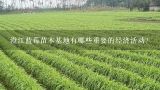 澄江蓝莓苗木基地有哪些重要的经济活动?