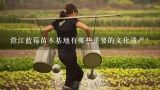 澄江蓝莓苗木基地有哪些重要的文化遗产?