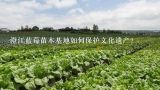 澄江蓝莓苗木基地如何保护文化遗产?