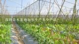 深圳苗木基地每年生产多少产品?