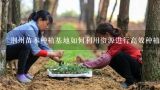 荆州苗木种植基地如何利用资源进行高效种植?