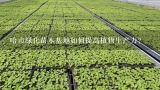 哈市绿化苗木基地如何提高植物生产力?