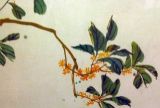 关于描写桂花的古诗词有哪些？