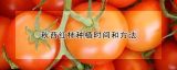 秋西红柿种植时间和方法