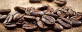 过期咖啡如何做花肥