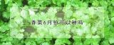 香菜6月份可以种吗