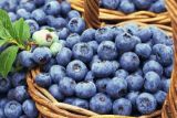 蓝莓什么时候吃最好 食用蓝莓的好处