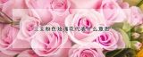 三支粉色玫瑰花代表什么意思
