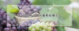 5月早熟品种的葡萄有哪些