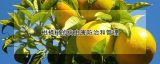 柑橘树的病虫害防治和管理
