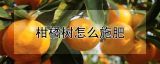 柑橘树怎么施肥