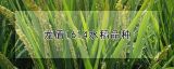 龙盾1614水稻品种