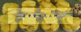 菠萝蜜核怎么种