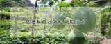 瓜蒌种植技术及施肥技术