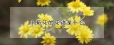 小菊花的花语是什么