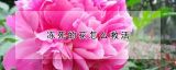 冻死的花怎么救活