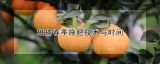 柑橘春季施肥技术与时间