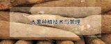 木薯种植技术与管理
