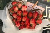 11朵红玫瑰多少钱 11朵红玫瑰100-160元/束