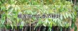 榴莲苗什么季节种好