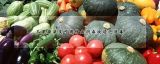 瓜果蔬菜类可用什么消毒液浸泡消毒