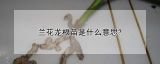 兰花龙根苗是什么意思?