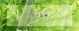 竹子品种