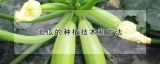 北瓜的种植技术和方法