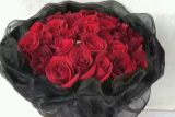 一束玫瑰鲜花多少钱 一束玫瑰鲜花售价110-490元不等