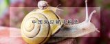 中国常见蜗牛种类