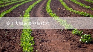 关于大棚蔬菜种植技术