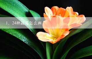 24种蔬菜怎么画