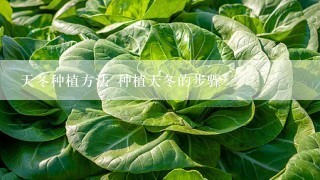 天冬种植方法 种植天冬的步骤