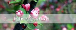 狝猴桃种植技术视频教程
