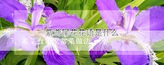 素菜食谱家常菜做法