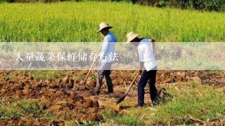 大量蔬菜保鲜储存方法