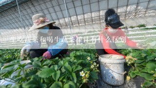 生吃蔬菜和喝生蔬菜榨汁有什么区别